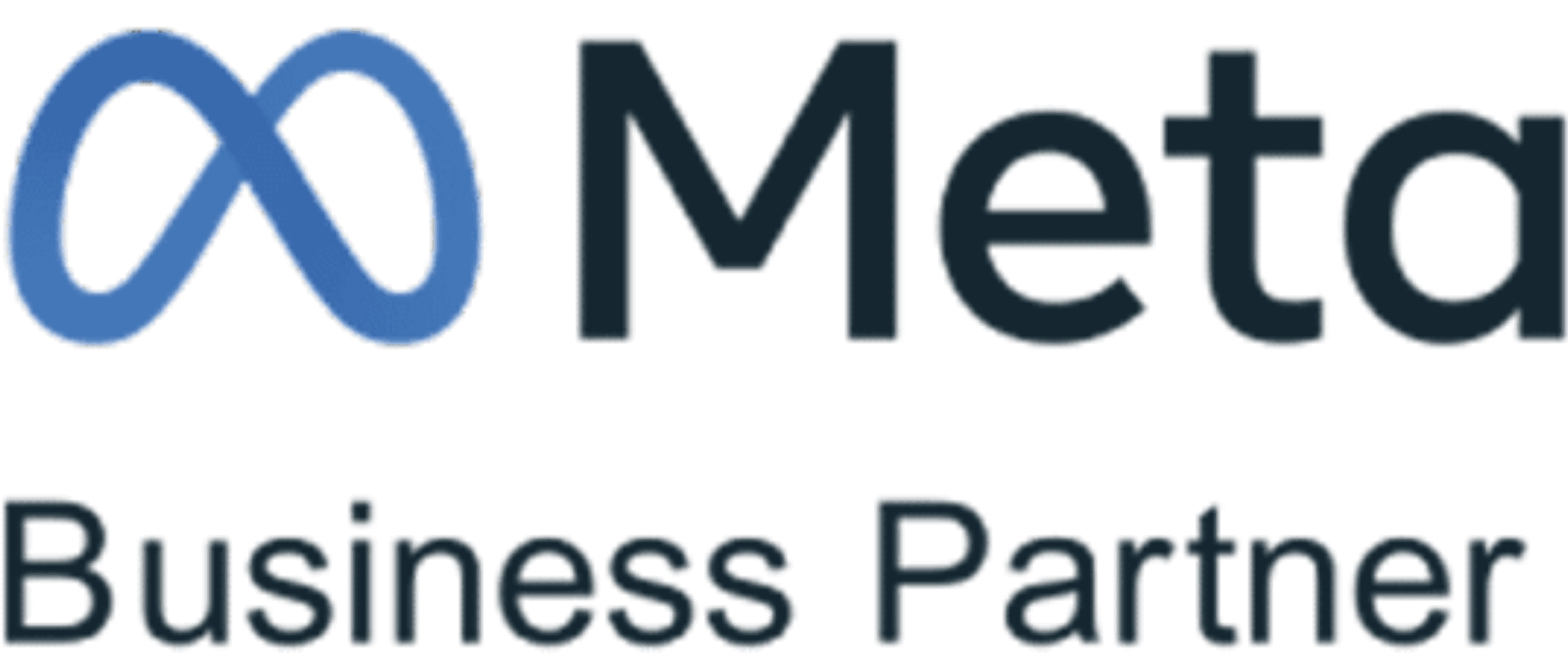 Meta Business Partner